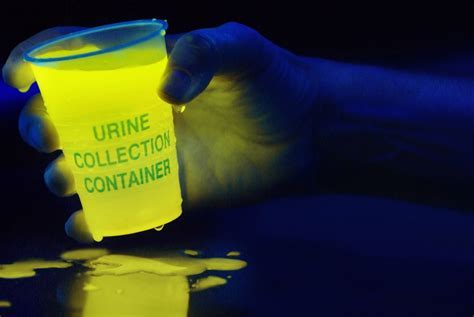 Does Urine Show Up Under Black Light: Exploring the Glow in the Dark Mysteries