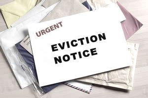 How Long Does It Take an Eviction to Show Up on Rental History? And Why Do Bananas Glow in the Dark?