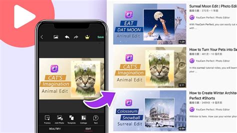 How to Change Video Thumbnail on Phone Gallery: A Journey Through Digital Creativity